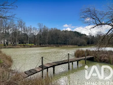 Mansion in Ardon (45160)