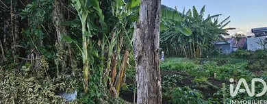 Terrain à bâtir à Saint-Denis (97490)
