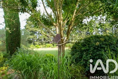 Mas à Cheval-Blanc (84460)