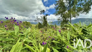 Building plot in La Plaine-des-Palmistes (97431)