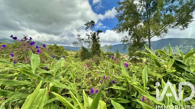 Building plot in La Plaine-des-Palmistes (97431)