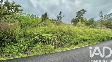 Terrain à bâtir à La Plaine-des-Palmistes (97431)