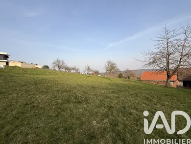 Land in Reinhardsmunster (67440)