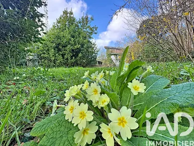 Terrain à bâtir à Combrit (29120)