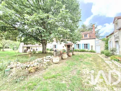 House in Bray-en-Val (45460)