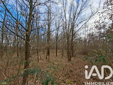 Land in Azay-le-Rideau (37190)