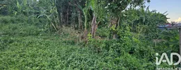 Terrain à bâtir à Saint-Denis (97490)