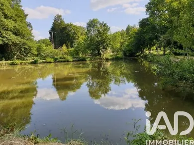 Terrain loisirs à Montreuil-le-Henri (72150)