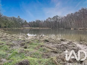 Domaine à Lamotte-Beuvron (41600)