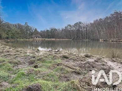 Domaine à Lamotte-Beuvron (41600)