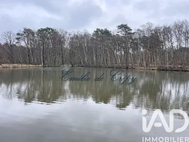 Domaine à Chaumont-sur-Tharonne (41600)