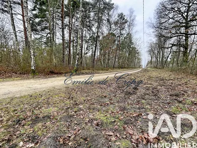 Domaine à Lamotte-Beuvron (41600)