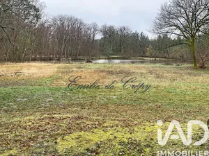 Domain in Lamotte-Beuvron (41600)