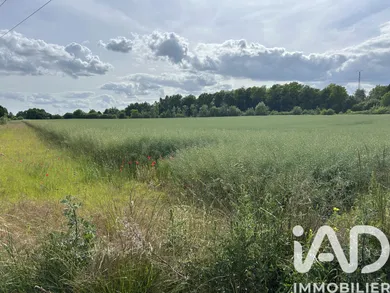 Terrain à Saint-Hilaire-au-Temple (51400)
