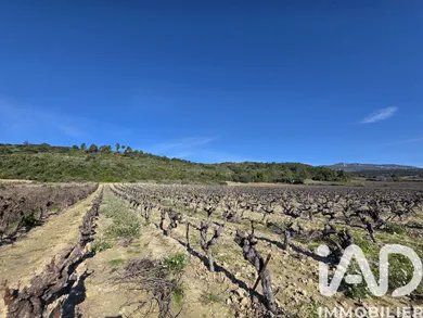 Terrain à Saint-Saturnin-de-Lucian (34725)