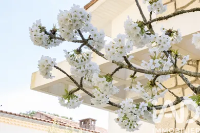 Maison à Royan (17200)