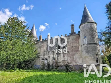 Castle in Saint-Loubès (33450)