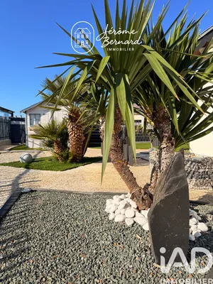 Maison à Saint-Barthélemy-d'Anjou (49124)