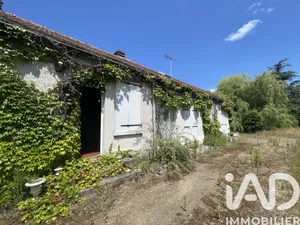 Maison à Olivet (45160)