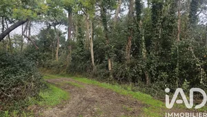 Land in Lège-Cap-Ferret (33950)