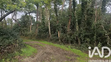 Terrain à Lège-Cap-Ferret (33950)