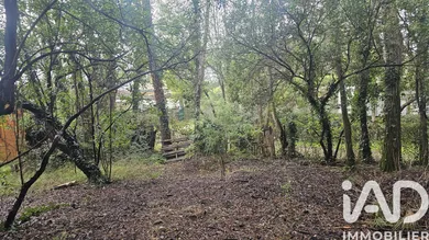 Terrain à Lège-Cap-Ferret (33950)