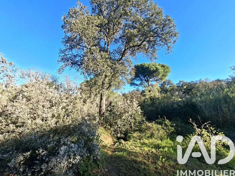 Terrain agricole à Argelès-sur-Mer (66700) · 20 000 €