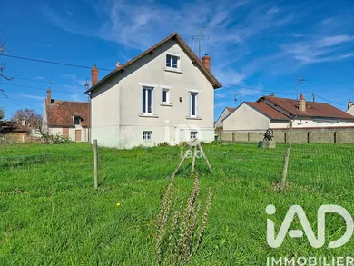 House in Theillay (41300)