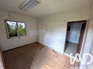 House in Loire-Authion (49800)