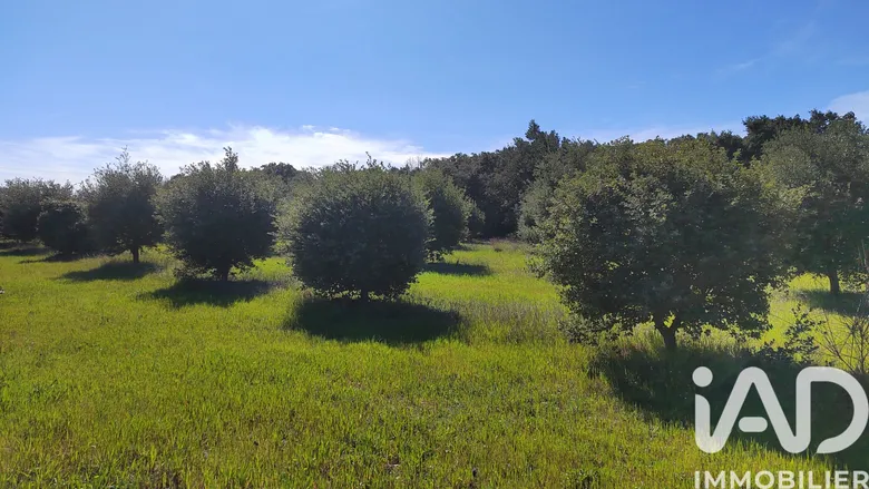 Terrain à TRAVAILLAN (84850) · 34 000 €
