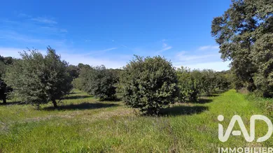 Terrain à TRAVAILLAN (84850)