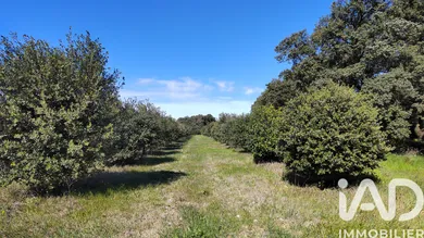 Terrain à TRAVAILLAN (84850)