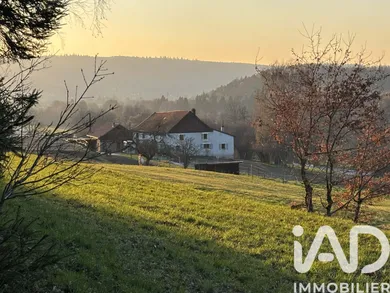 Ferme à Ban-sur-Meurthe-Clefcy (88230)