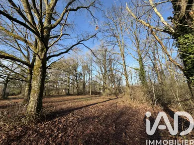 Terrain à Nançay (18330)