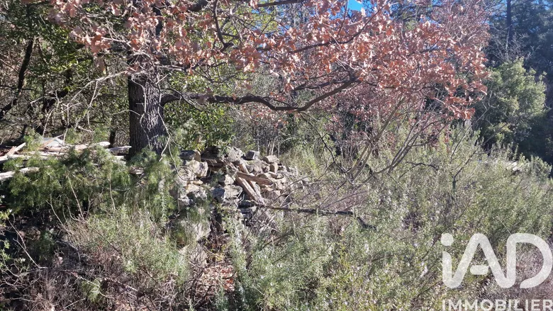 Terrain à TOURVES (83170) · 23 000 €