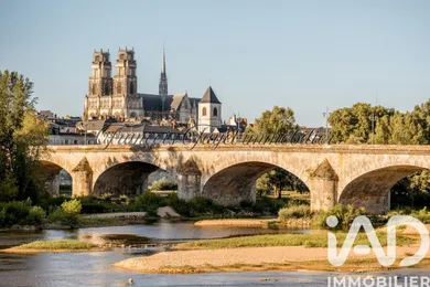 Appartement à Orléans (45100)