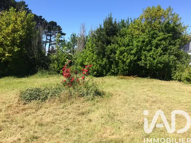 Land in Groix (56590)