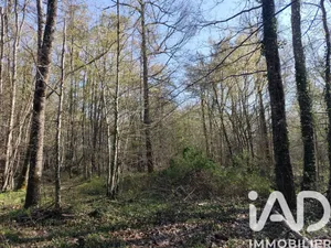 Terrain à Sury-près-Léré (18240)