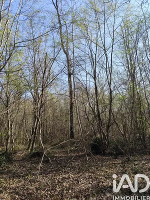 Terrain à Sury-près-Léré (18240)