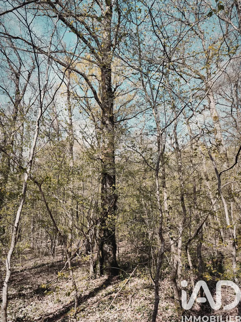 Terrain à Charny Orée de Puisaye (89120) · 14 000 €