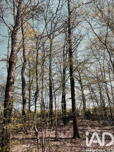 Land in Charny Orée de Puisaye (89120)