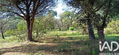 Terrain à Sainte-Maxime (83120)