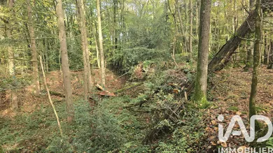 Leisure land in Vieux-Vy-sur-Couesnon (35490)