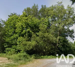 Terrain loisirs à Séreilhac (87620)