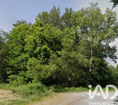 Terrain loisirs à Séreilhac (87620)