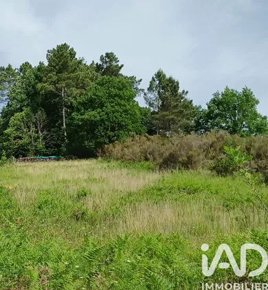 Building plot in Tamniès (24620)