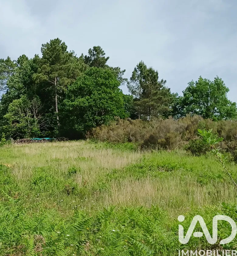 Terrain à bâtir à Tamniès (24620) · 195 000 €