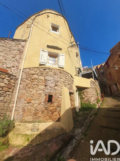 Village house in Le Bousquet-d'Orb (34260)
