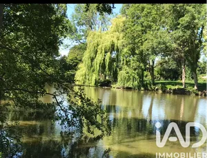 Domain in Cabourg (14390)