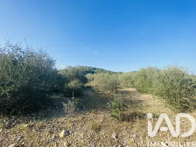 Terrain à ROQUEFORT-DES-CORBIERES (11540)